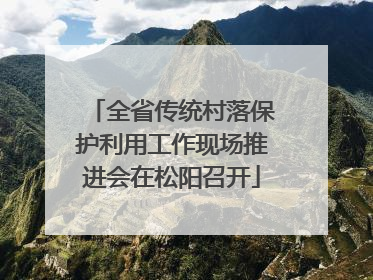 全省传统村落保护利用工作现场推进会在松阳召开