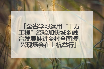 全省学习运用“千万工程”经验加快城乡融合发展推进乡村全面振兴现场会在上杭举行