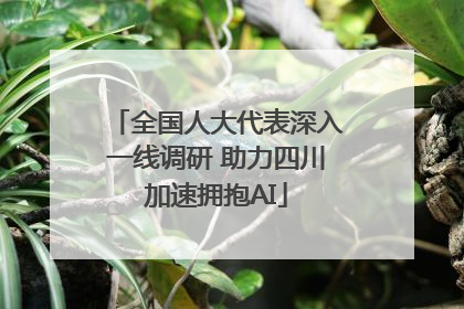 全国人大代表深入一线调研 助力四川加速拥抱AI