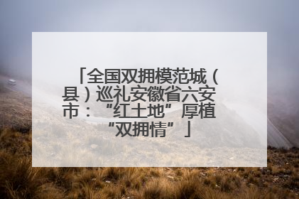 全国双拥模范城（县）巡礼安徽省六安市：“红土地”厚植“双拥情”
