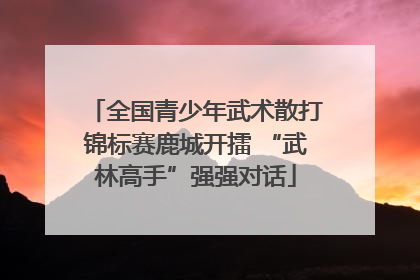 全国青少年武术散打锦标赛鹿城开擂 “武林高手”强强对话