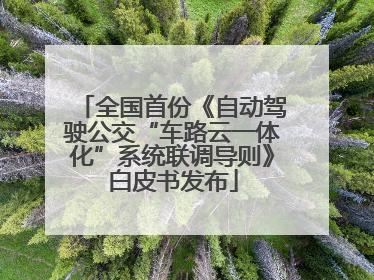 全国首份《自动驾驶公交“车路云一体化”系统联调导则》白皮书发布