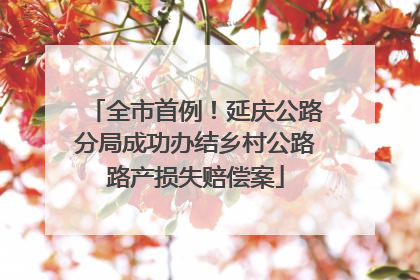 全市首例！延庆公路分局成功办结乡村公路路产损失赔偿案