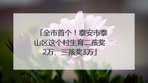 全市首个！泰安市泰山区这个村生育二孩奖2万、三孩奖3万
