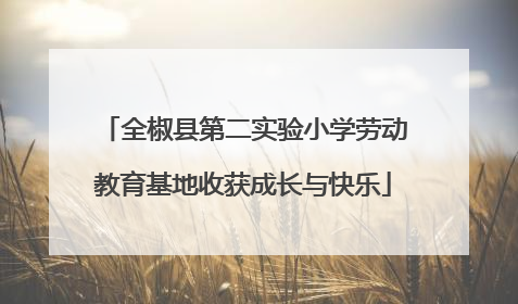 全椒县第二实验小学劳动教育基地收获成长与快乐