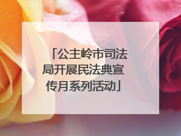 公主岭市司法局开展民法典宣传月系列活动