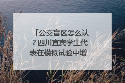 公交盲区怎么认？四川宜宾学生代表在模拟试验中增强乘车安全意识