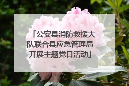 公安县消防救援大队联合县应急管理局开展主题党日活动