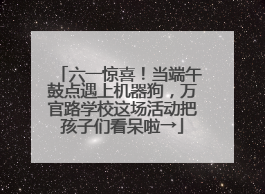 六一惊喜！当端午鼓点遇上机器狗，万官路学校这场活动把孩子们看呆啦→