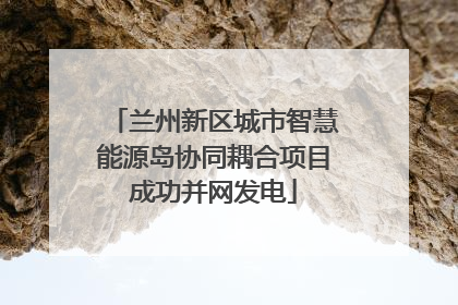 兰州新区城市智慧能源岛协同耦合项目成功并网发电