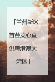 兰州新区首茬菜心直供粤港澳大湾区