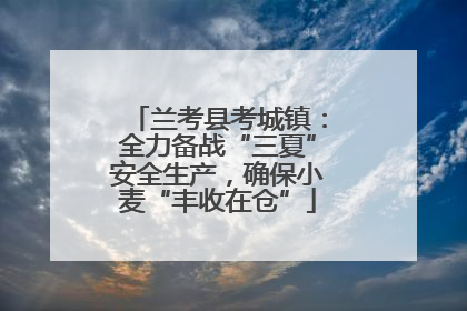 兰考县考城镇：全力备战“三夏”安全生产，确保小麦“丰收在仓”