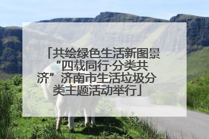 共绘绿色生活新图景 “四载同行·分类共济”济南市生活垃圾分类主题活动举行