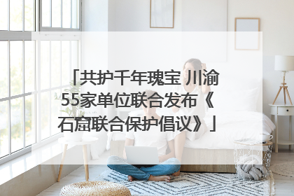 共护千年瑰宝 川渝55家单位联合发布《石窟联合保护倡议》