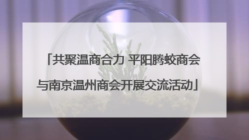 共聚温商合力 平阳腾蛟商会与南京温州商会开展交流活动
