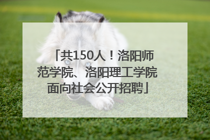 共150人！洛阳师范学院、洛阳理工学院面向社会公开招聘