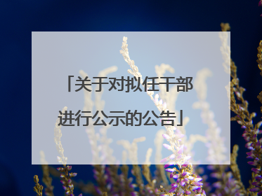 关于对拟任干部进行公示的公告