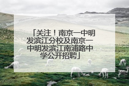 关注！南京一中明发滨江分校及南京一中明发滨江南浦路中学公开招聘