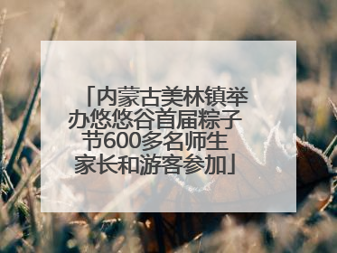 内蒙古美林镇举办悠悠谷首届粽子节600多名师生家长和游客参加