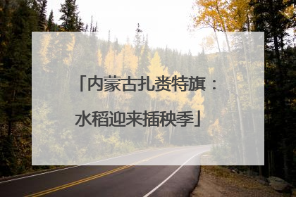 内蒙古扎赉特旗：水稻迎来插秧季