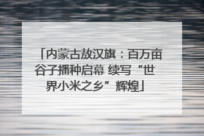 内蒙古敖汉旗：百万亩谷子播种启幕 续写“世界小米之乡”辉煌