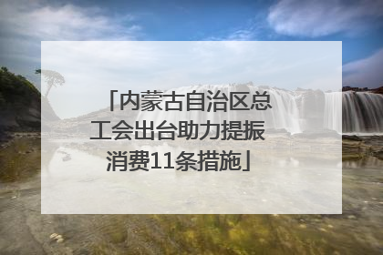 内蒙古自治区总工会出台助力提振消费11条措施
