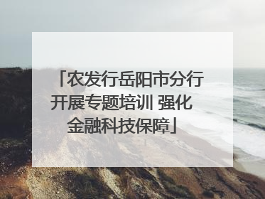 农发行岳阳市分行开展专题培训 强化金融科技保障