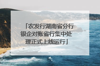 农发行湖南省分行银企对账省行集中处理正式上线运行