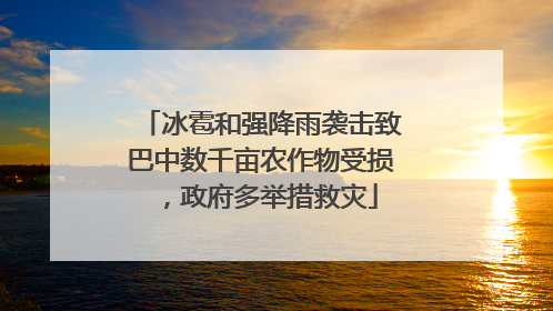 冰雹和强降雨袭击致巴中数千亩农作物受损，政府多举措救灾