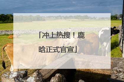 冲上热搜！鹿晗正式官宣