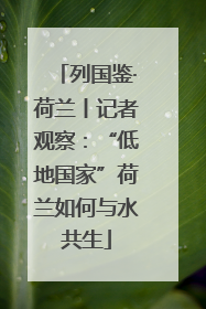 列国鉴·荷兰丨记者观察：“低地国家”荷兰如何与水共生
