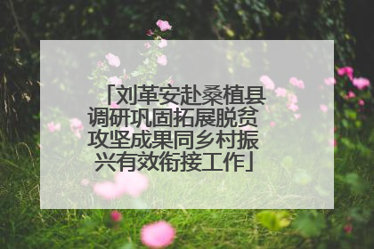 刘革安赴桑植县调研巩固拓展脱贫攻坚成果同乡村振兴有效衔接工作