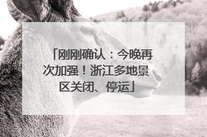 刚刚确认：今晚再次加强！浙江多地景区关闭、停运