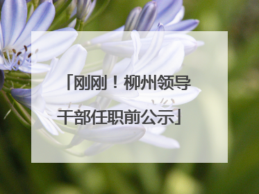 刚刚！柳州领导干部任职前公示