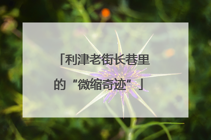 利津老街长巷里的“微缩奇迹”