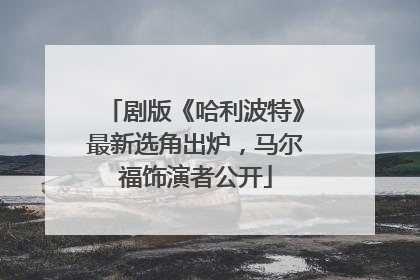 剧版《哈利波特》最新选角出炉，马尔福饰演者公开