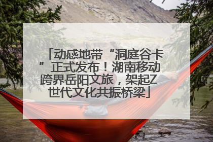 动感地带“洞庭谷卡”正式发布！湖南移动跨界岳阳文旅，架起Z世代文化共振桥梁