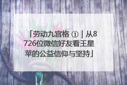 劳动九宫格 ①｜从8726位微信好友看王星苹的公益信仰与坚持