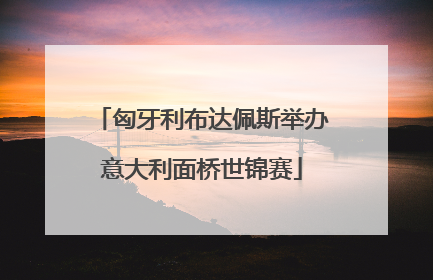 匈牙利布达佩斯举办意大利面桥世锦赛