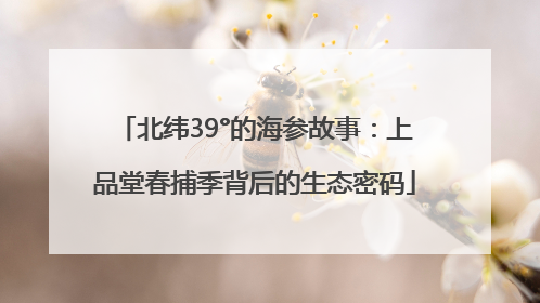 北纬39°的海参故事：上品堂春捕季背后的生态密码