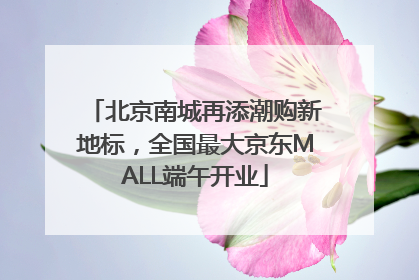 北京南城再添潮购新地标，全国最大京东MALL端午开业