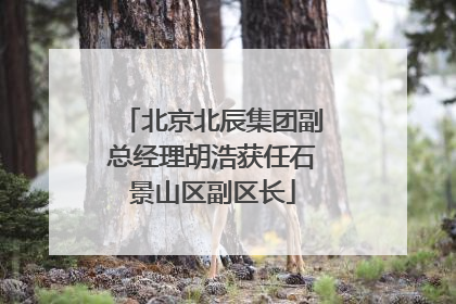 北京北辰集团副总经理胡浩获任石景山区副区长