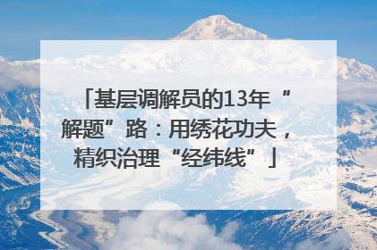 基层调解员的13年“解题”路：用绣花功夫，精织治理“经纬线”