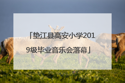 垫江县高安小学2019级毕业音乐会落幕