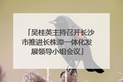吴桂英主持召开长沙市推进长株潭一体化发展领导小组会议