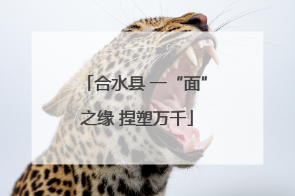 合水县 一“面”之缘 捏塑万千