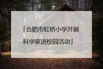 合肥市虹桥小学开展科学家进校园活动