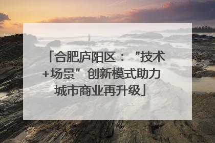 合肥庐阳区：“技术+场景”创新模式助力城市商业再升级