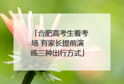 合肥高考生看考场 有家长提前演练三种出行方式