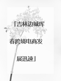 吉林边城珲春跨境电商发展迅速
